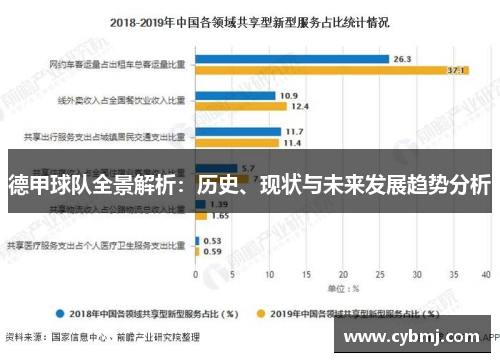 德甲球队全景解析：历史、现状与未来发展趋势分析